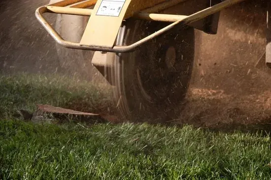 Stump grinding